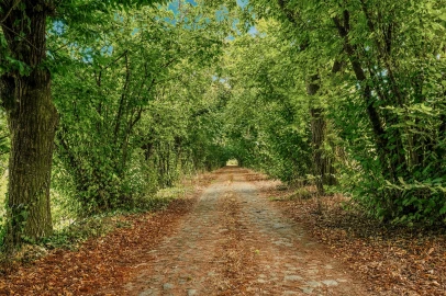 Quinta T8 para Venda em Manhente