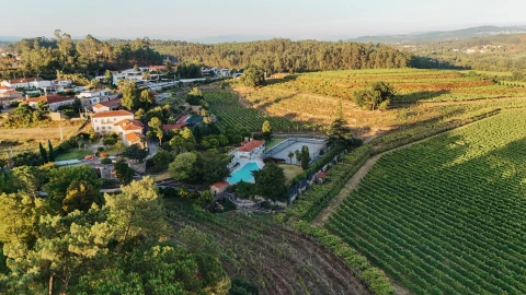 Quinta T8 para Venda em Manhente