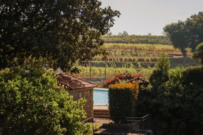 Quinta T8 para Venda em Manhente