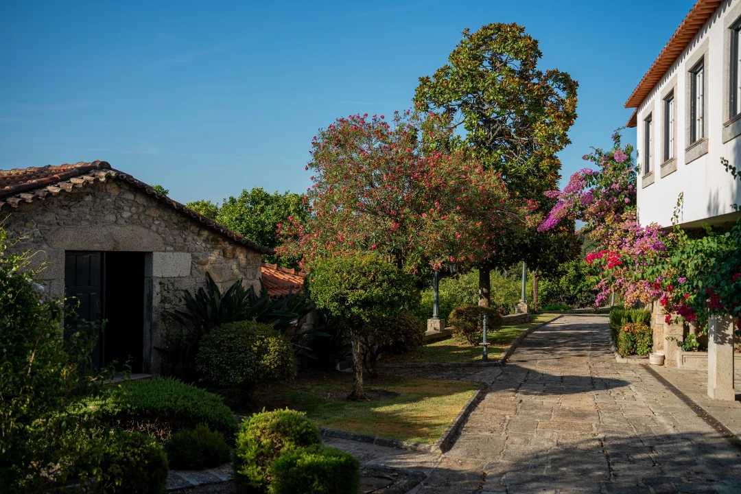 Quinta T8 para Venda em Manhente Foto 66