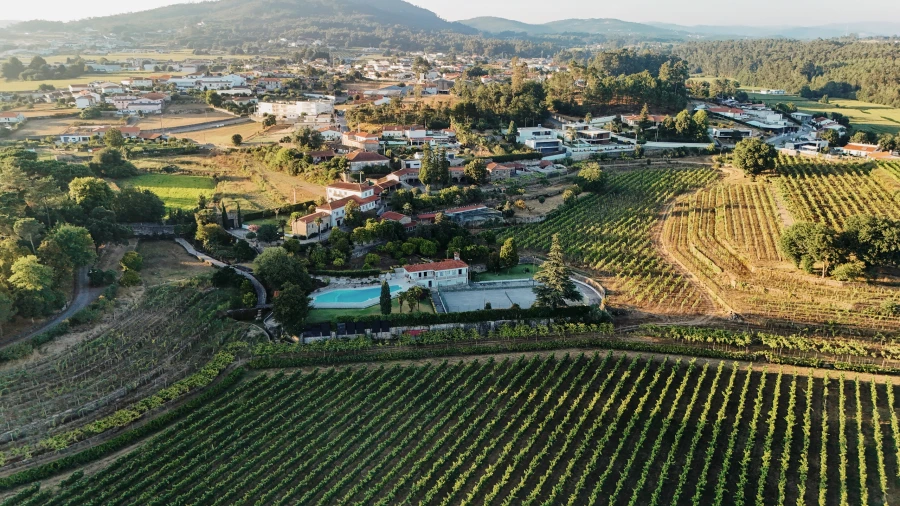 Quinta T8 para Venda em Manhente Foto 9
