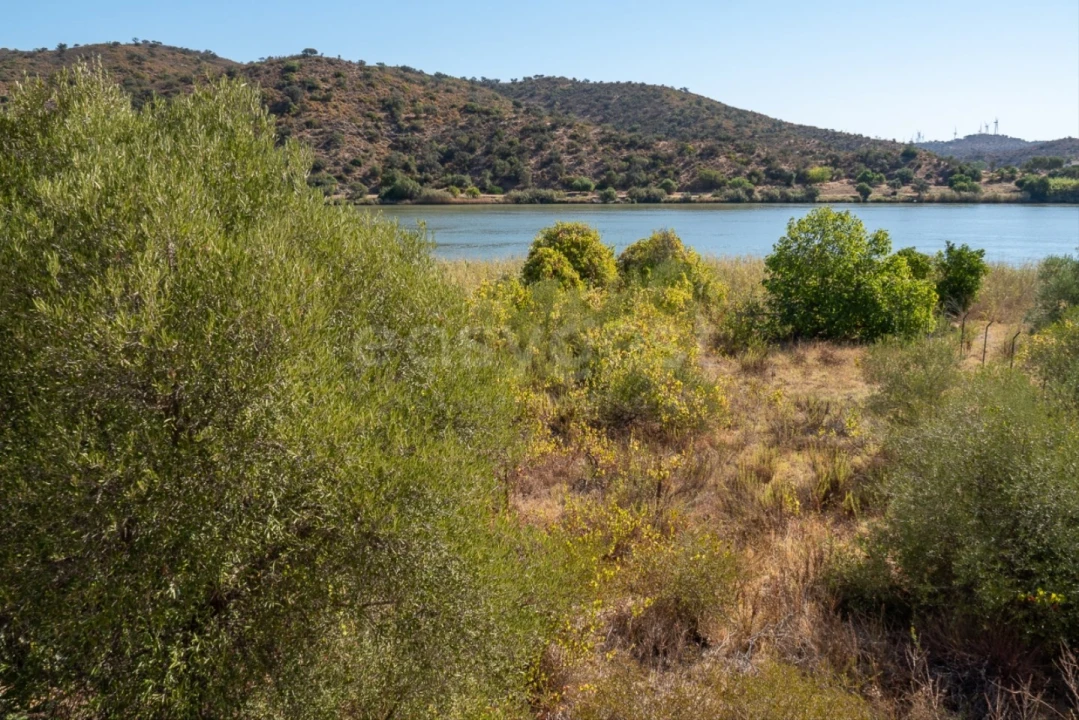Terreno Agricola ou Rústico para Venda em Alcoutim e Pereiro Foto 2
