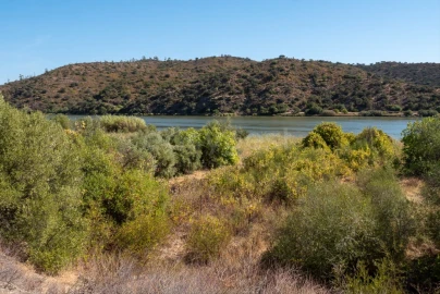 Terreno Agricola ou Rústico para Venda em Alcoutim e Pereiro