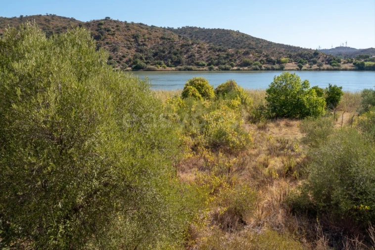 Terreno Agricola ou Rústico para Venda em Alcoutim e Pereiro Foto 2