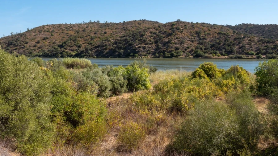 Terreno Agricola ou Rústico para Venda em Alcoutim e Pereiro
