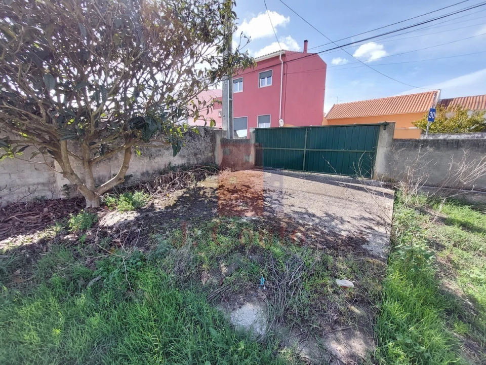 Terreno para Venda em Tornada e Salir do Porto Foto 2