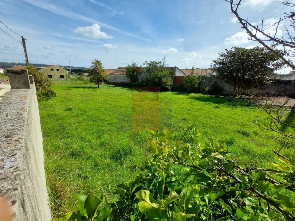 Terreno para Venda em Tornada e Salir do Porto Foto 3