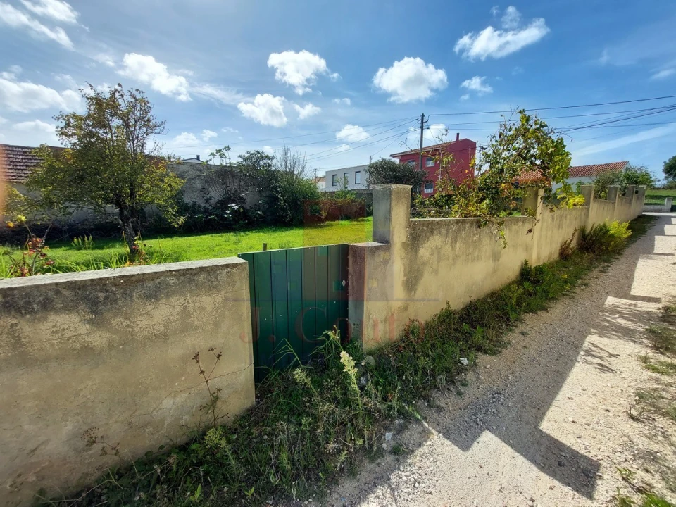 Terreno para Venda em Tornada e Salir do Porto Foto 5