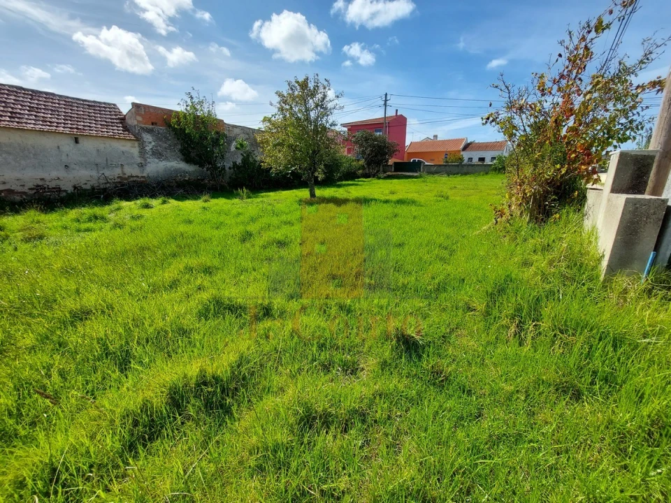 Terreno para Venda em Tornada e Salir do Porto Foto 6