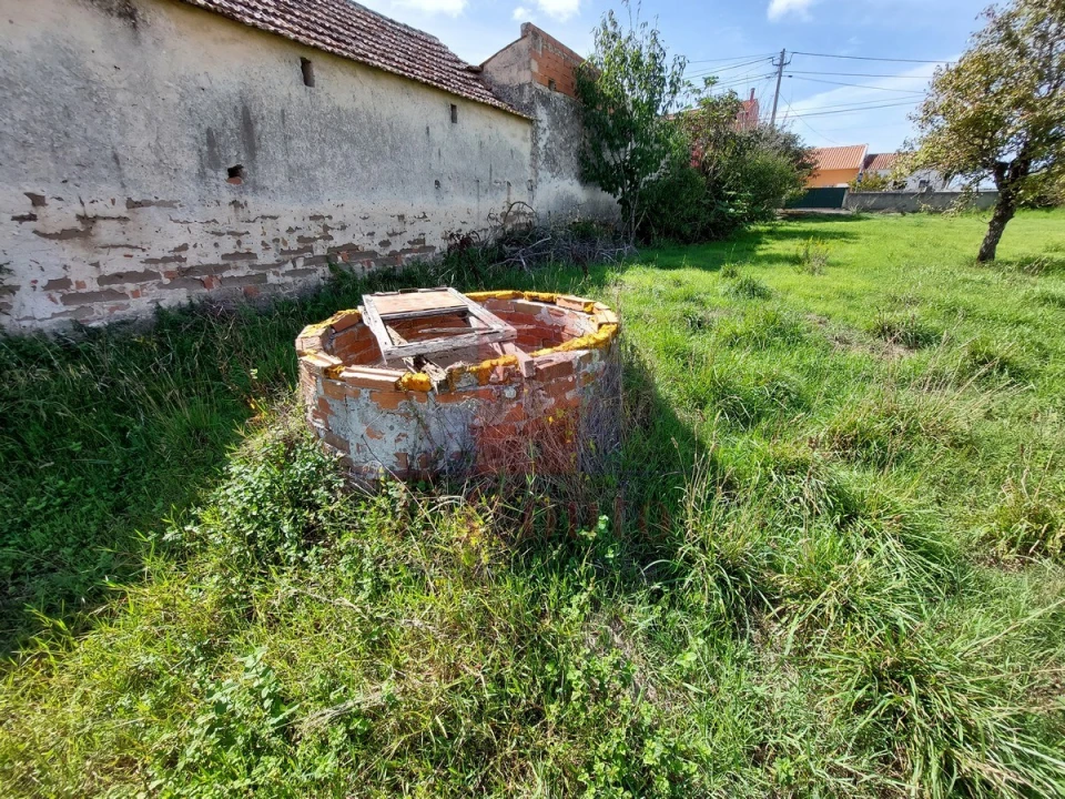 Terreno para Venda em Tornada e Salir do Porto Foto 8