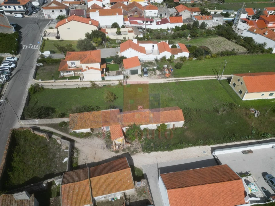 Terreno para Venda em Tornada e Salir do Porto Foto 19