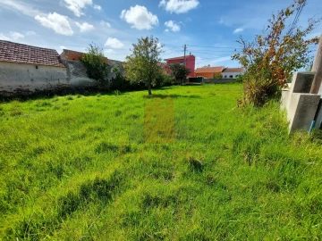 Terreno para Venda em Tornada e Salir do Porto