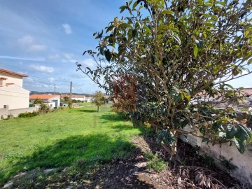 Terreno para Venda em Tornada e Salir do Porto