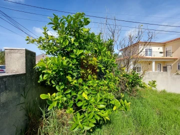 Terreno para Venda em Tornada e Salir do Porto