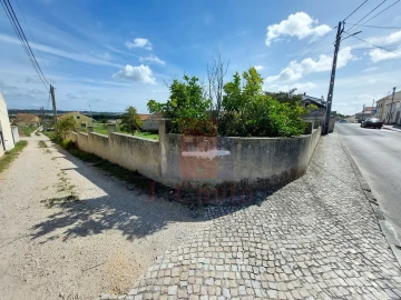 Terreno para Venda em Tornada e Salir do Porto