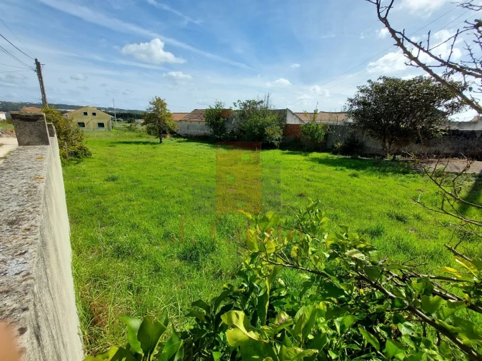 Terreno para Venda em Tornada e Salir do Porto Foto 3