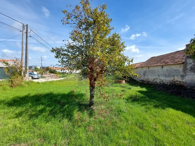 Terreno para Venda em Tornada e Salir do Porto Foto 9
