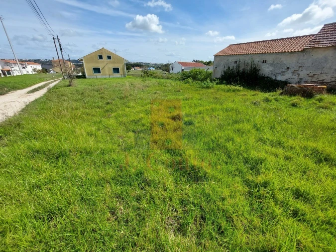 Terreno para Venda em Tornada e Salir do Porto Foto 13