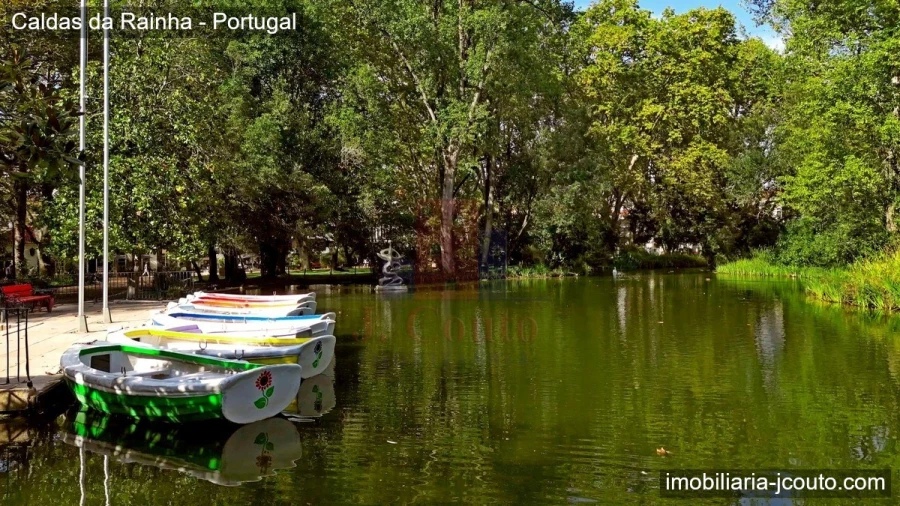 Terreno para Venda em Tornada e Salir do Porto Foto 22