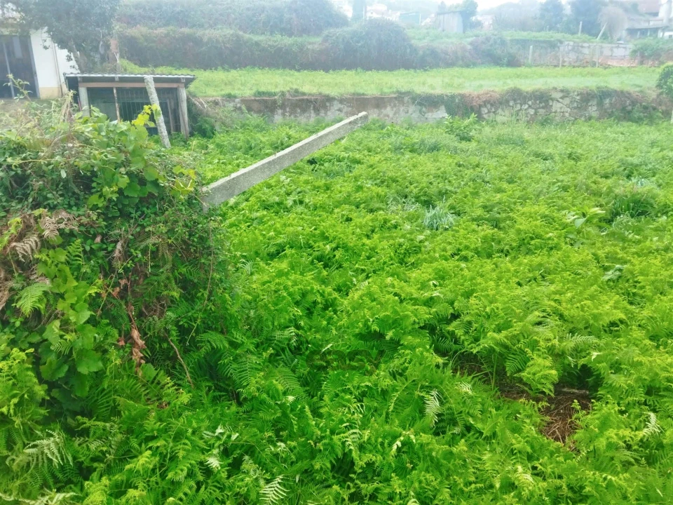 Terreno para Venda em Lanhelas Foto 9