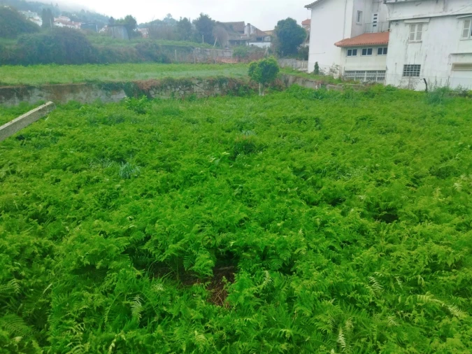 Terreno para Venda em Lanhelas Foto 4
