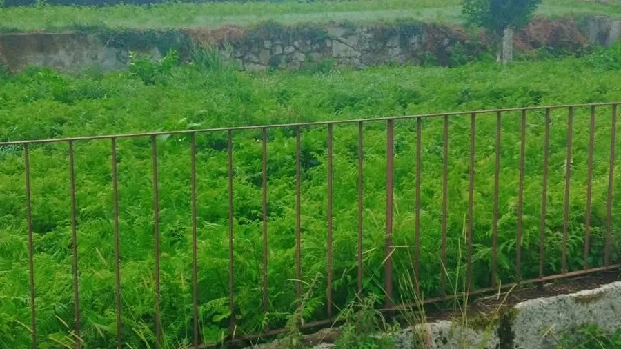 Terreno para Venda em Lanhelas