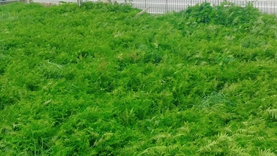 Terreno para Venda em Lanhelas