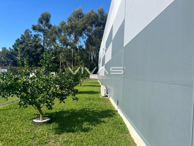Armazém para Arrendamento em São Romão de Neiva Foto 5