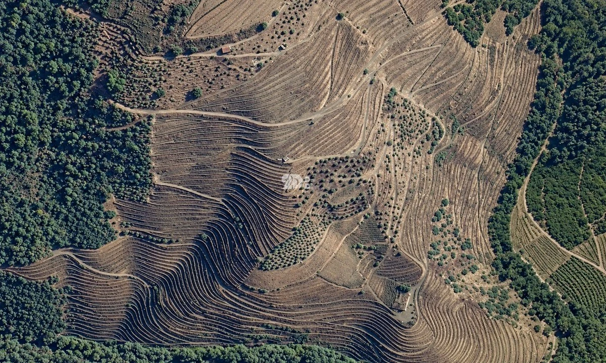 Quinta T0 para Venda em Desejosa Foto 3