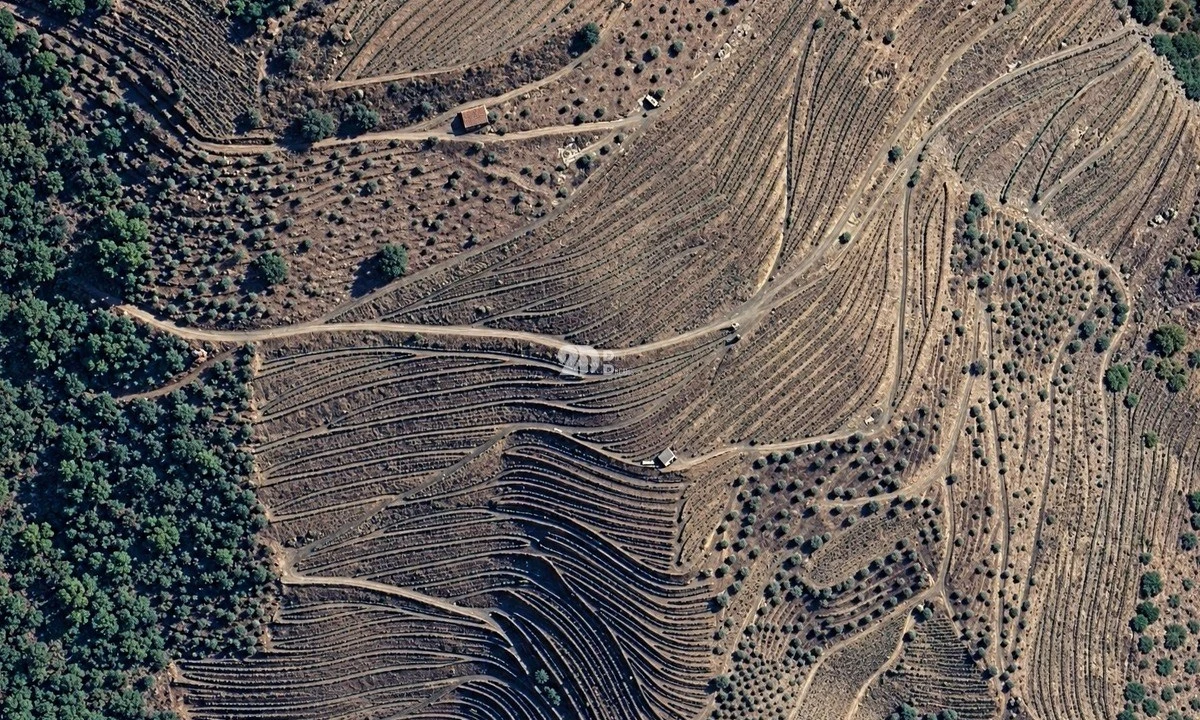 Quinta T0 para Venda em Desejosa Foto 6