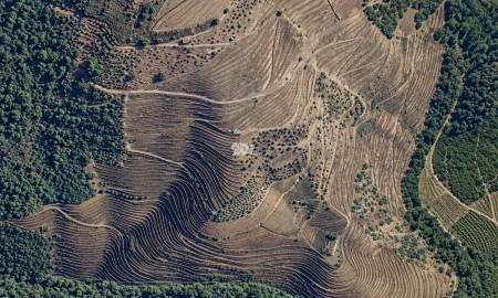 Quinta T0 para Venda em Desejosa