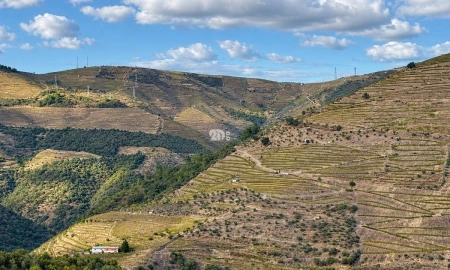 Quinta T0 para Venda em Desejosa