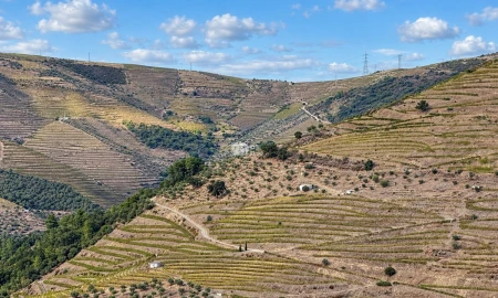 Quinta T0 para Venda em Desejosa