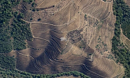 Quinta T0 para Venda em Desejosa