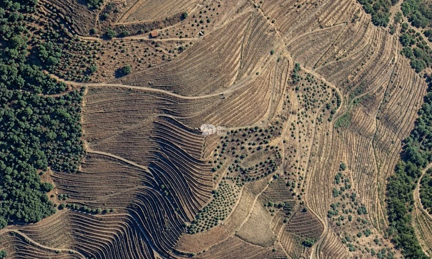 Quinta T0 para Venda em Desejosa Foto 5