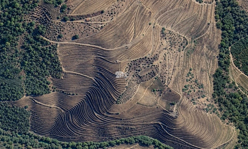 Quinta T0 para Venda em Desejosa Foto 4