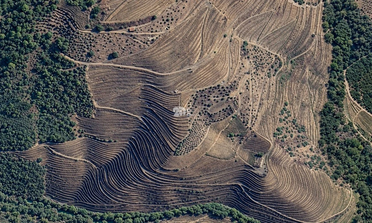 Quinta T0 para Venda em Desejosa Foto 4
