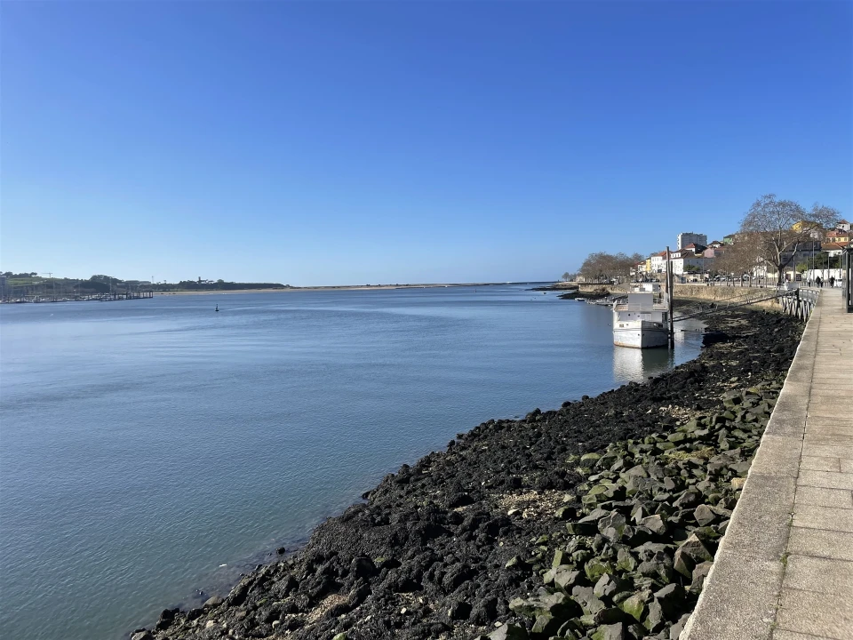 Apartamento T3 para Venda em Aldoar, Foz do Douro e Nevogilde Foto 21