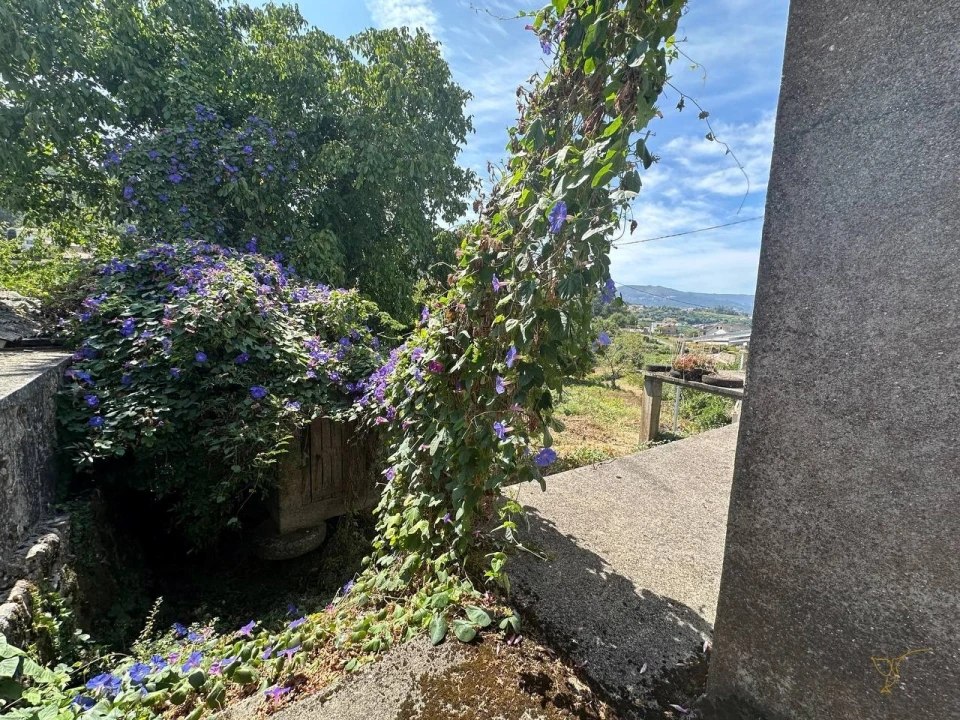 Moradia T3 para Venda em Chaviães e Paços Foto 32