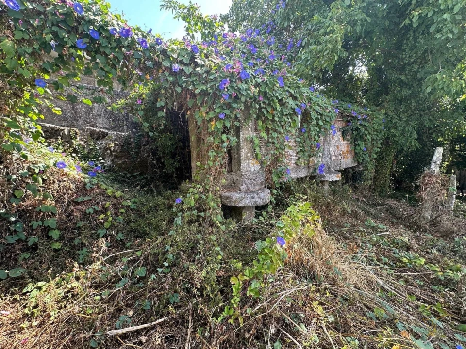 Moradia T3 para Venda em Chaviães e Paços Foto 40