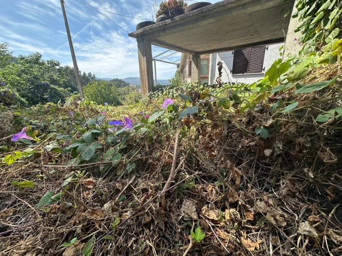 Moradia T3 para Venda em Chaviães e Paços Foto 35
