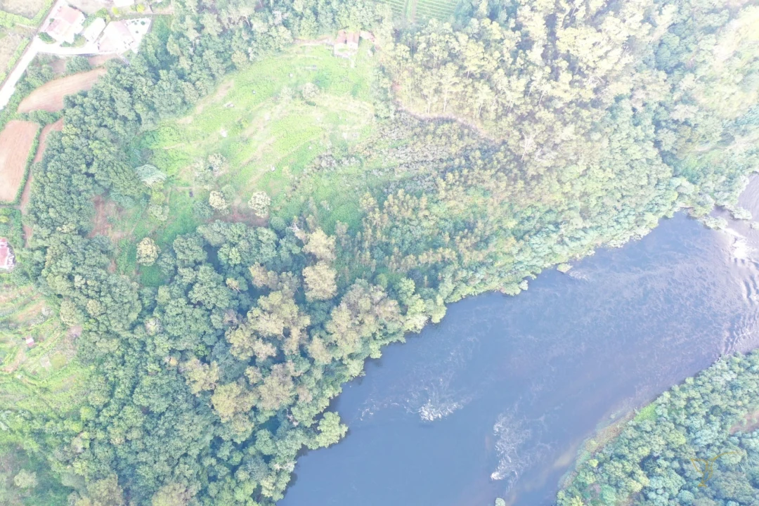 Quinta T0 para Venda em Vila e Roussas Foto 6
