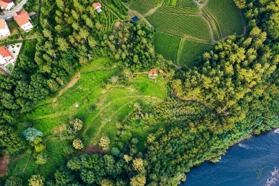 Quinta T0 para Venda em Vila e Roussas