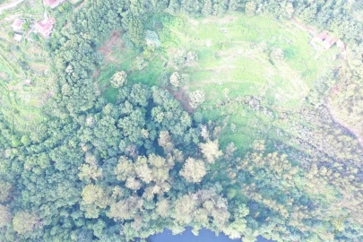 Quinta T0 para Venda em Vila e Roussas