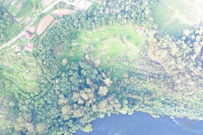 Quinta T0 para Venda em Vila e Roussas