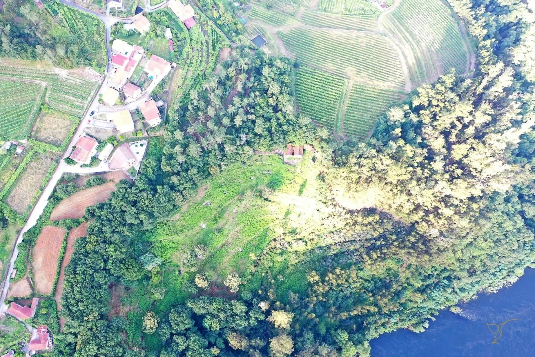 Quinta T0 para Venda em Vila e Roussas Foto 19