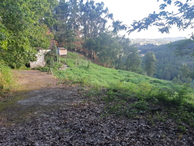 Quinta T0 para Venda em Vila e Roussas Foto 9