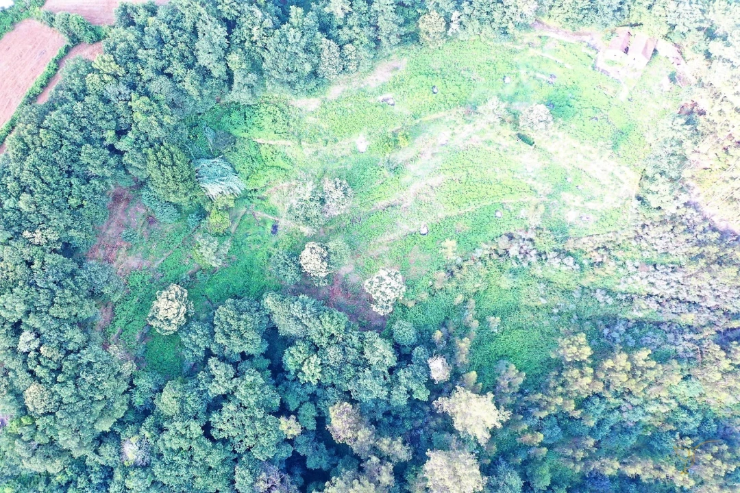 Quinta T0 para Venda em Vila e Roussas Foto 12