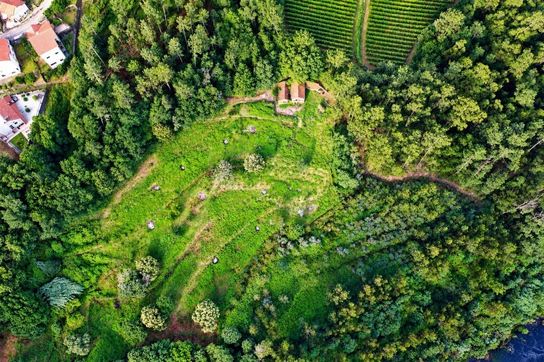 Quinta T3 para Venda em Vila e Roussas Foto 4
