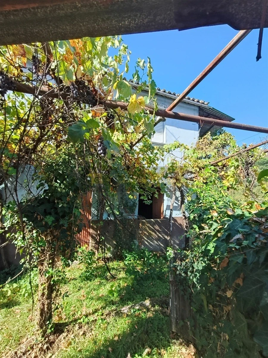 Moradia T2 para Venda em Faíl e Vila Chã de Sá Foto 6
